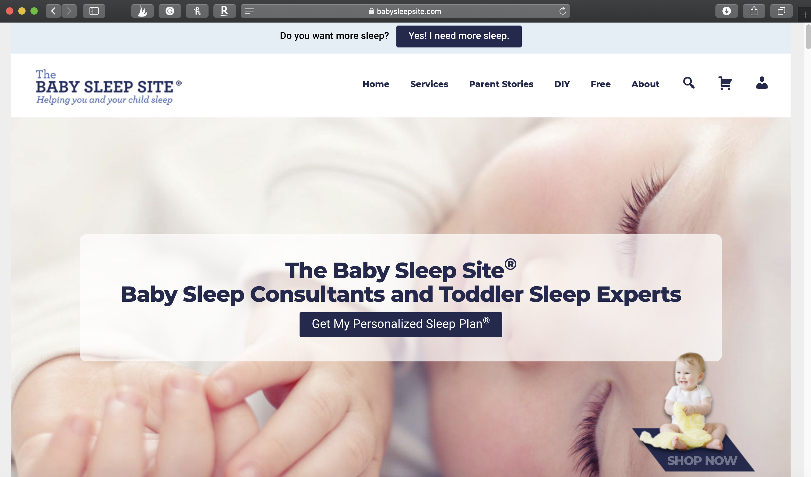 the-baby-sleep-site-personalized-sleep-consulting-review