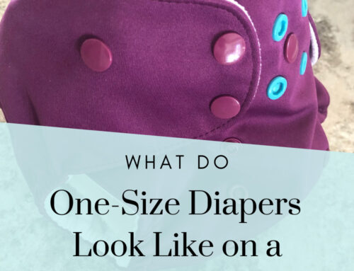 What Do One-Size Cloth Diapers Look Like On A 10-lb Baby?